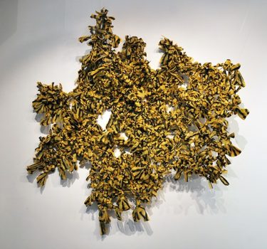 Camouflage. Plastic bags. 2010