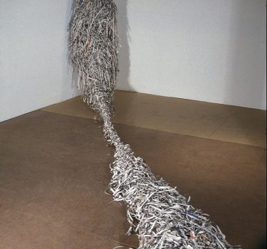 Cocoon. Newspapers. 2003