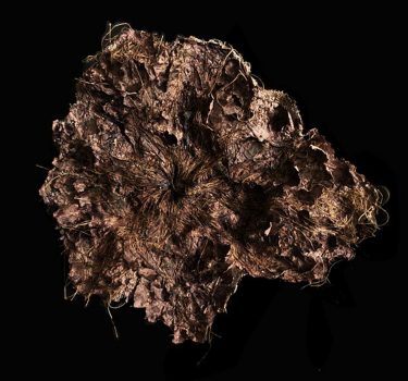 Flora I. Handmade paper, dye, jute rope and burlap. 2009