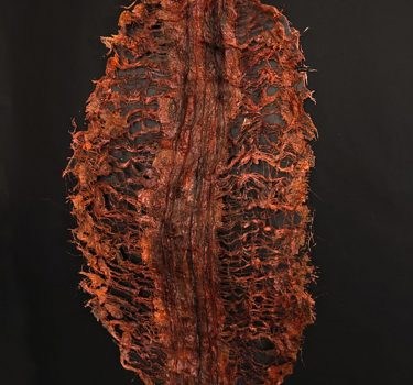 Foliage. Handmade paper, yarn, dye, acrylic, and burlap. 2009