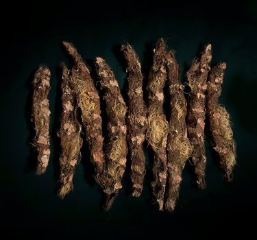 Fragments II. Burlap, handmade paper and dye. 2011