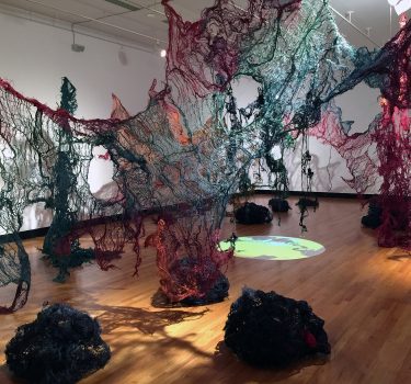 Nkata. Burlap, cheesecloth, paper, jute rope, glass, wire, dye and video. 2015