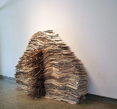 Passage I. Newspapers and sticks. 2006