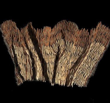 Pride. Ceramic and rope. 2009