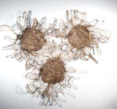 Resonance. Cheesecloth, white talc, acrylic paint and wire. 2017