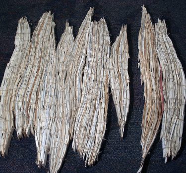 Dead Wood. Paper and rope. 2007