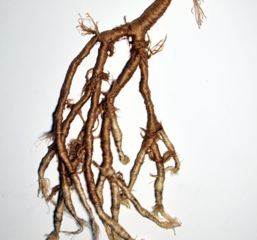 Channels. Jute strings and wire. 2018