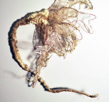 Lifeline. Cheesecloth, jute strings, wire and foam. 55"44"x12". 2018