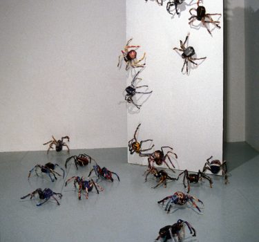 Spiders. Magazine pages and wire. 2002
