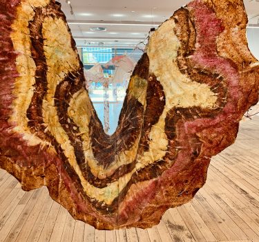 Hiding in Plain Site