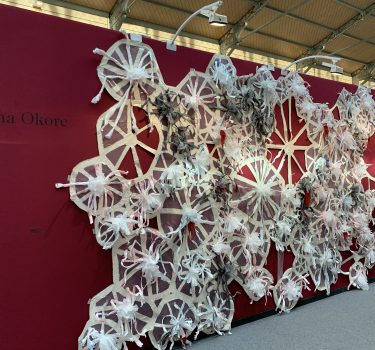 Invasive Macro-organisms