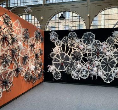 Invasive Macro-organisms