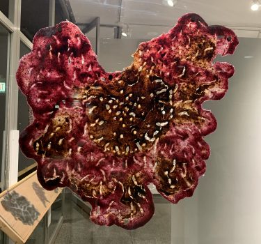 Pellicles of Delight I