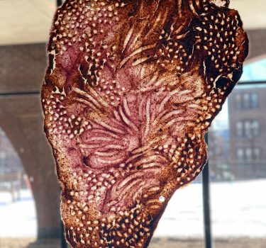 Pellicles of Delight IV