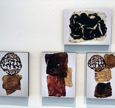 PhotoStudies details