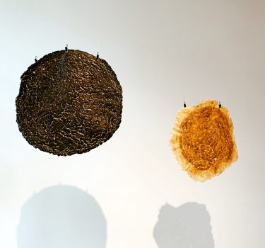 Pellicles of Deight (installation view).