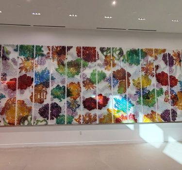 Together, We Belong Here