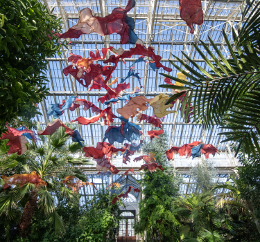 Between Earth and Sky