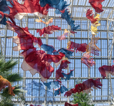 Between Earth and Sky