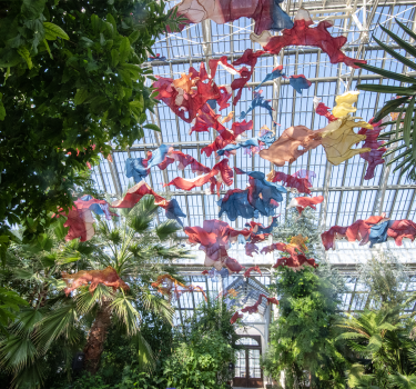 Between Earth and Sky, Cotton, hessian, cheesecloth, natural dyes, and wire, Varied Dimensions (Photo credit: Jeff Eden)